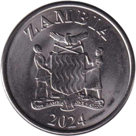 Монета 1 квача. 2024 год, Замбия. Замбийский дятел.