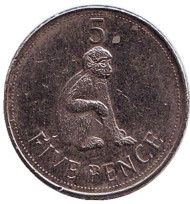 Монета 5 пенсов. 2011 год, Гибралтар. Варварийская обезьяна.