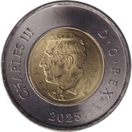 Монета 2 доллара. 2025 год, Канада. Народная певица Дафна Оджиг. (Цветная). Монета 2 доллара. 2025 год, Канада. Народная певица Дафна Оджиг. (Цветная).