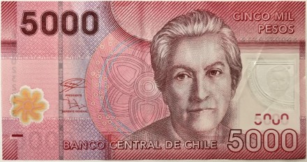 Банкнота 5000 песо. 2021 год, Чили. Банкнота 5000 песо. 2021 год, Чили.