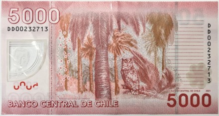 Банкнота 5000 песо. 2021 год, Чили. Банкнота 5000 песо. 2021 год, Чили.