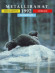 Тюлень. Набор монет Финляндии в буклете (5 шт). 1992 год, Финляндия.