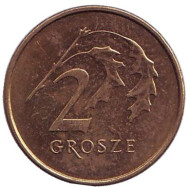 Монета 2 гроша. 2012 год, Польша. Дубовые листья. Монета 2 гроша. 2012 год, Польша. Дубовые листья.