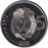 Монета 5 квач. 2024 год, Замбия. Лев.