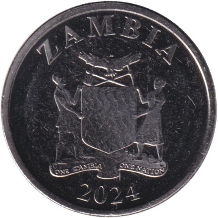Монета 5 квач. 2024 год, Замбия. Лев.