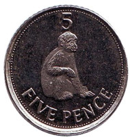 Монета 5 пенсов. 2012 год, Гибралтар. Варварийская обезьяна. Монета 5 пенсов. 2012 год, Гибралтар. Варварийская обезьяна.