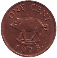 Монета 1 цент. 1978 год, Бермудские острова. Поросенок.