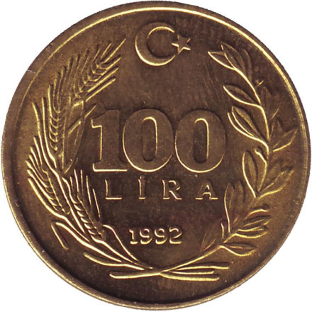 Монета 100 лир. 1992 год, Турция.