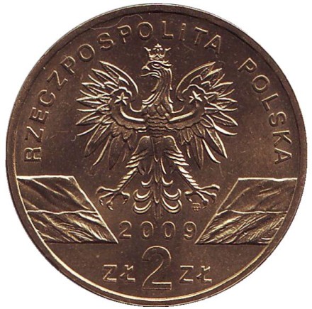 Монета 2 злотых, 2009 год, Польша. Зеленая ящерица.