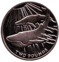 Монета 2 фунта. 2013 год, Южная Георгия и Южные Сандвичевы острова. Синий кит.