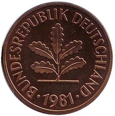 Монета 5 пфеннигов. 1981 год (J), ФРГ. Дубовые листья. Монета 5 пфеннигов. 1981 год (J), ФРГ. Дубовые листья.