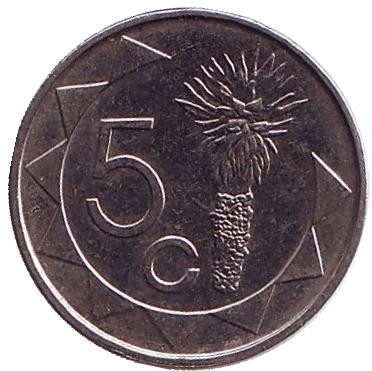 Монета 5 центов. 2007 год, Намибия. Цветок алоэ.