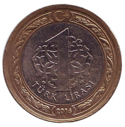 Монета 1 лира. 2016 год, Турция.