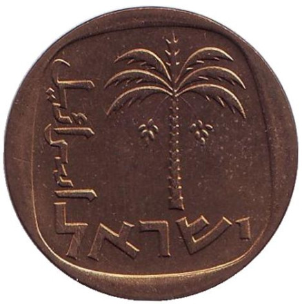 Монета 10 агор. 1963 год, Израиль. UNC. Пальма.
