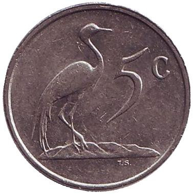 Монета 5 центов. 1988 год, Южная Африка. Африканская красавка.