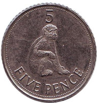 Монета 5 пенсов. 2013 год, Гибралтар. Варварийская обезьяна. Монета 5 пенсов. 2013 год, Гибралтар. Варварийская обезьяна.