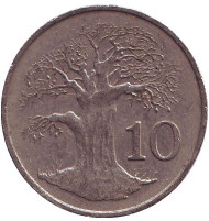 Монета 10 центов. 1994 год, Зимбабве. Баобаб. Монета 10 центов. 1994 год, Зимбабве. Баобаб.