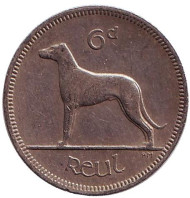 Монета 6 пенсов. 1967 год, Ирландия. Ирландский волкодав.