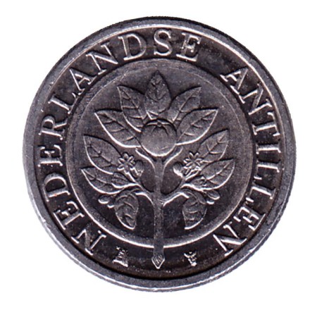Монета 5 центов. 2016 год, Нидерландские Антильские острова. Монета 5 центов. 2016 год, Нидерландские Антильские острова.