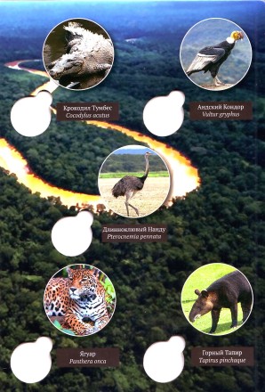 Исчезающая дикая природа Перу. Коллеционный альбом для 10 памятных монет Перу. 2017 - 2020 гг. Производство Россия.