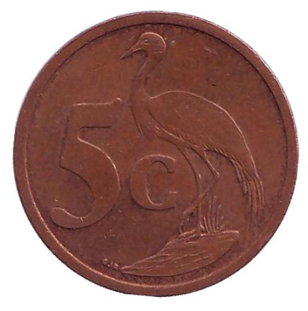 Монета 5 центов. 2000 год, Южная Африка. (Новый тип). Африканская красавка.