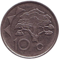 Монета 10 центов. 1996 год, Намибия. Акация. Монета 10 центов. 1996 год, Намибия. Акация.