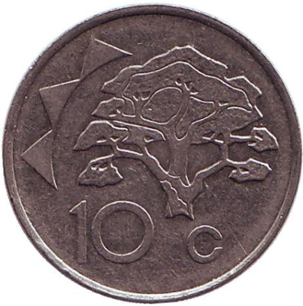 Монета 10 центов. 1996 год, Намибия. Акация.