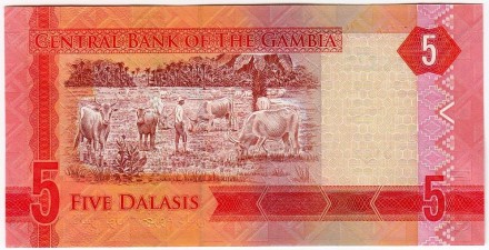 Банкнота 5 даласи. 2015 год, Гамбия.