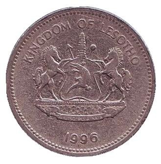 Монета 2 малоти. 1996 год, Лесото. Соцветия кукурузы. Монета 2 малоти. 1996 год, Лесото. Соцветия кукурузы.