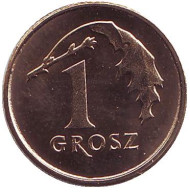 Монета 1 грош, 2012 год, Польша. Дубовый лист. Монета 1 грош, 2012 год, Польша. Дубовый лист.
