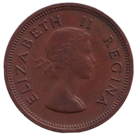 Монета 1/4 пенни (фартинг). 1954 год, ЮАР. Птицы.