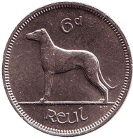 Монета 6 пенсов. 1969 год, Ирландия. Ирландский волкодав.