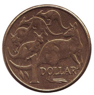 Монета 1 доллар. 2013 год, Австралия. Кенгуру.
