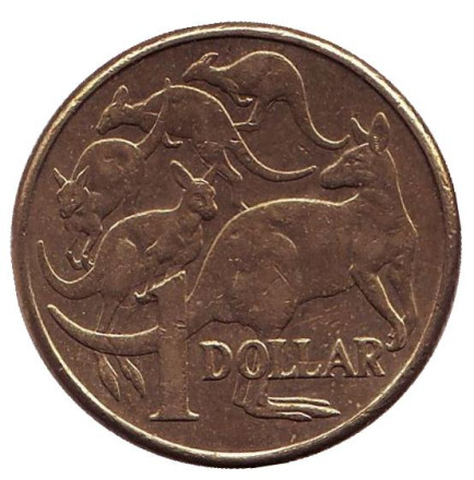 Монета 1 доллар. 2013 год, Австралия. Кенгуру.