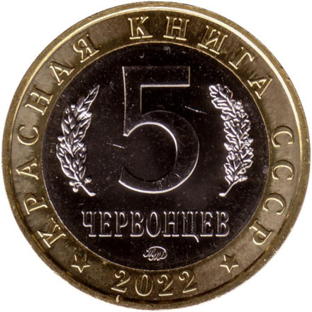 Иглоногая сова. Монетовидный жетон. 5 червонцев. 2022 год, ММД, Россия.