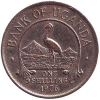 Райский журавль. (Африканская красавка). Монета 1 шиллинг. 1976 год, Уганда. 