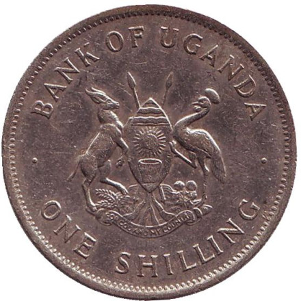 Монета 1 шиллинг. 1976 год, Уганда. Райский журавль. (Африканская красавка). Монета 1 шиллинг. 1976 год, Уганда. Райский журавль. (Африканская красавка).