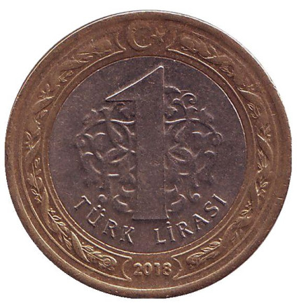 Монета 1 лира. 2018 год, Турция.