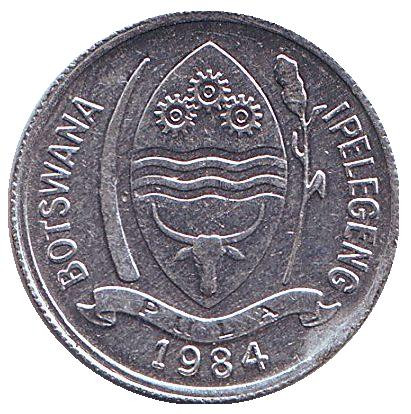 Монета 1 тхебе. 1984 год, Ботсвана. Турако. Монета 1 тхебе. 1984 год, Ботсвана. Турако.
