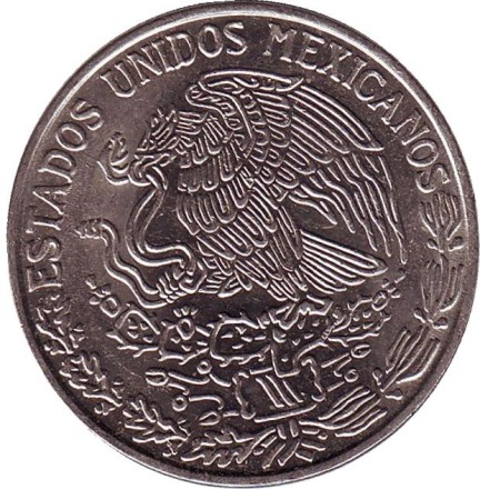 1981-open-2zm.jpg 1981-open-2zm.jpg