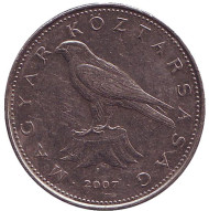 Монета 50 форинтов. 2007 год, Венгрия. Сокол. (Балобан). Монета 50 форинтов. 2007 год, Венгрия. Сокол. (Балобан).