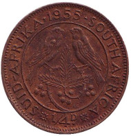 Монета 1/4 пенни (фартинг). 1955 год, ЮАР. Птицы. Монета 1/4 пенни (фартинг). 1955 год, ЮАР. Птицы.