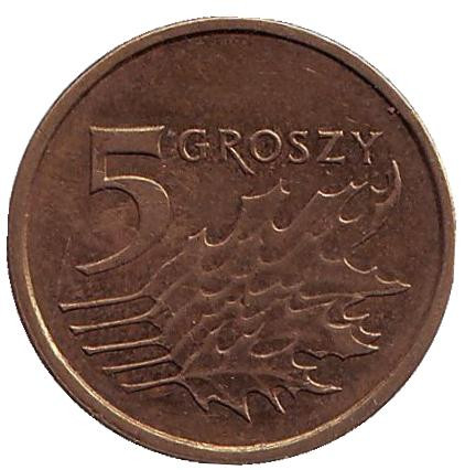 Монета 5 грошей. 2013 год, Польша. (Старый тип). Дубовые листья.