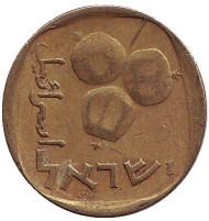 Монета 5 агор. 1972 год, Израиль. Гранат. Монета 5 агор. 1972 год, Израиль. Гранат.