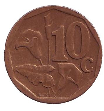 Монета 10 центов. 2000 год, Южная Африка. (Новый тип) Лилия.