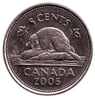 Монета 5 центов, 2005 год, Канада. Бобр. Монета 5 центов, 2005 год, Канада. Бобр.