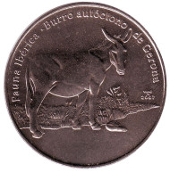 Монета 1 песо. 2007 год, Куба. Каталонский осел. Монета 1 песо. 2007 год, Куба. Каталонский осел.