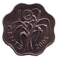 Монета 10 центов, 2005 год, Свазиленд. Сахарный тростник. Монета 10 центов, 2005 год, Свазиленд. Сахарный тростник.