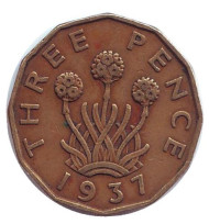 Монета 3 пенса. 1937 год, Великобритания. Лук-порей. Монета 3 пенса. 1937 год, Великобритания. Лук-порей.