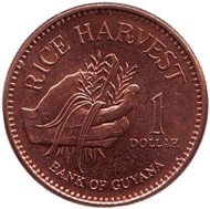 Монета 1 доллар, 2005 год, Гайана. Урожай риса. Монета 1 доллар, 2005 год, Гайана. Урожай риса.